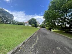Tanglin Hill Villas (D10), Detached #458592931